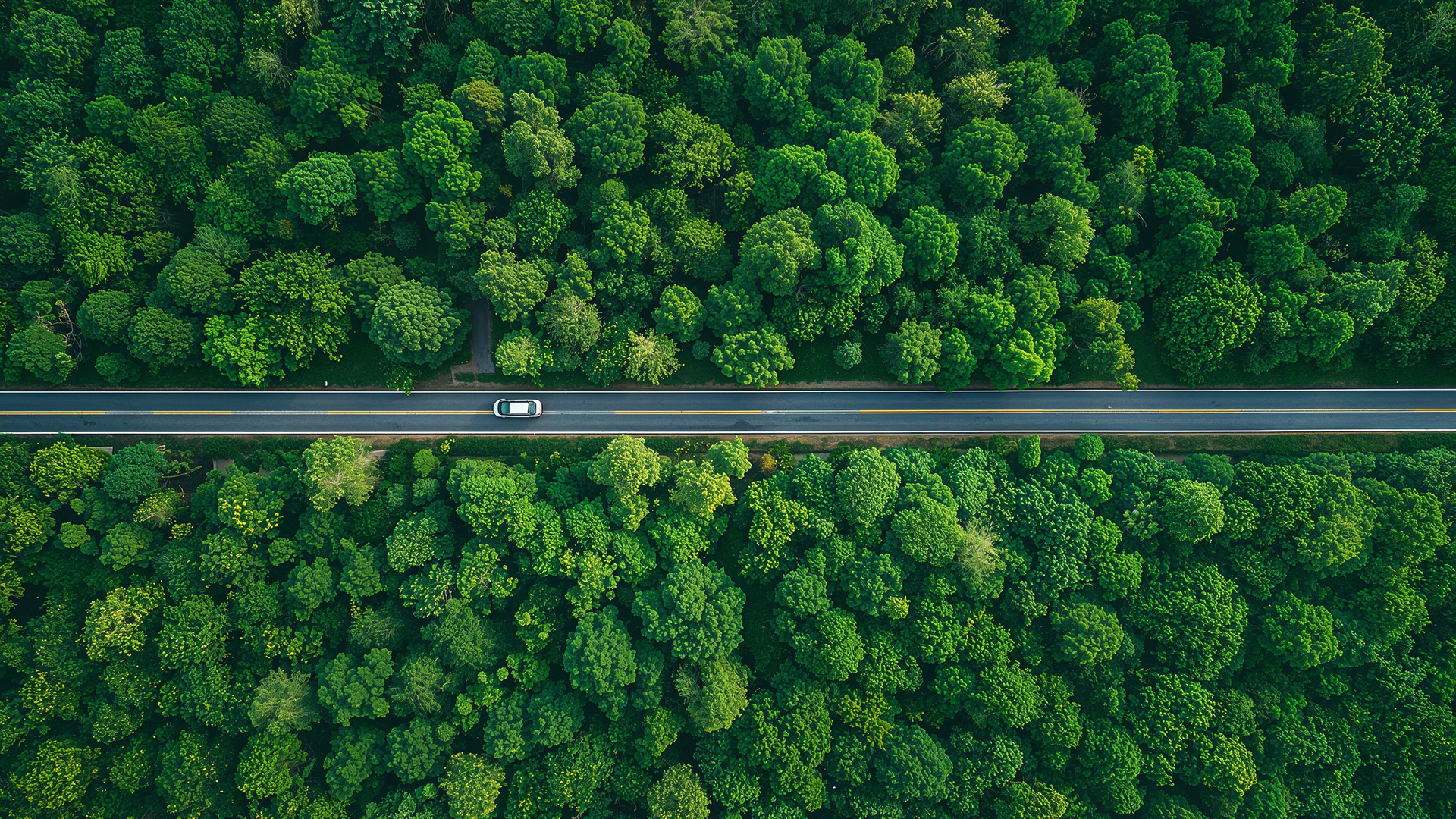 Sustainability_website 5.jpg