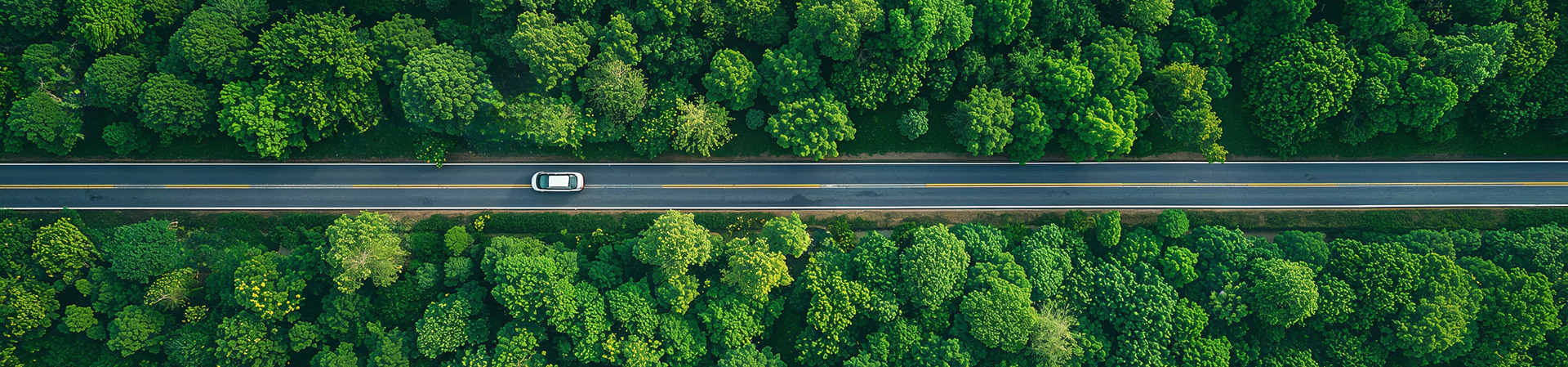 Sustainability_website 5.jpg