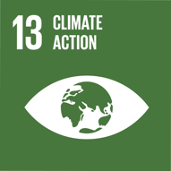 13 UN Climate Action