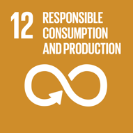 12 UN Responsible consumption and production