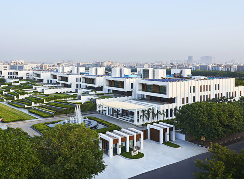 DS Group_website.jpg