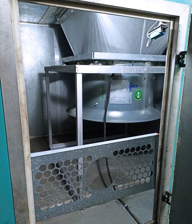 DS Group_website 3.png