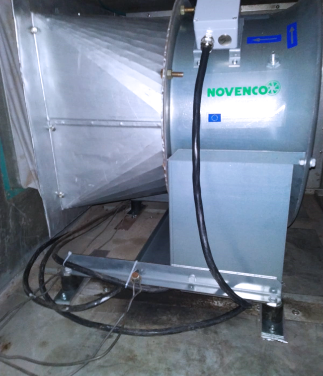 DS Group_website 2.png