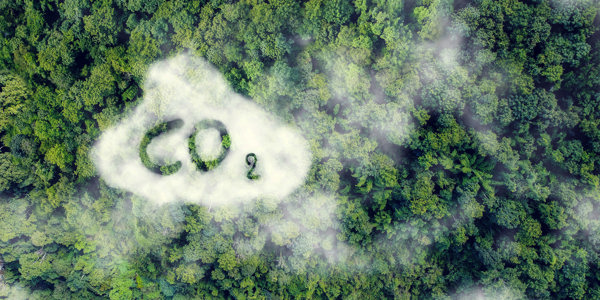 Sustainability_website 8.jpg