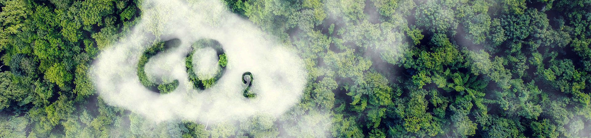 Sustainability_website 8.jpg